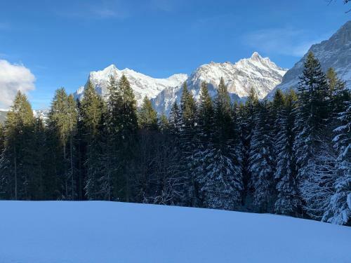 Eiger, Jungfrau, Luxury Garden Apartment