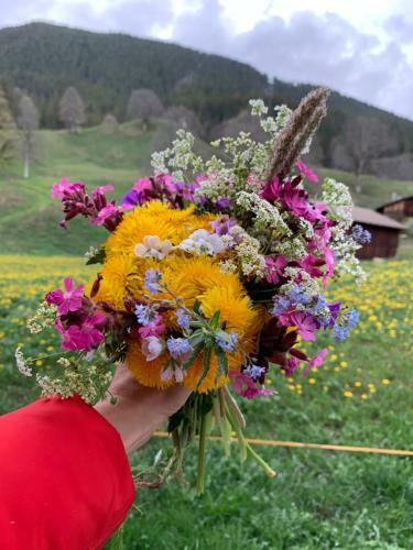 Eiger, Jungfrau, Luxury Garden Apartment