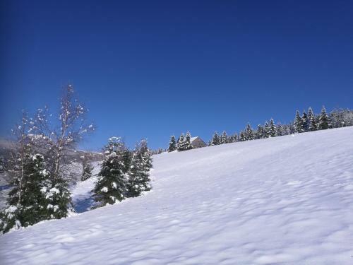 Bed & Breakfast Jamaican By Snezka