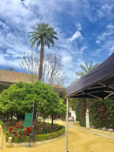 Apartamento Do�a Mar�a Coronel Sevilla