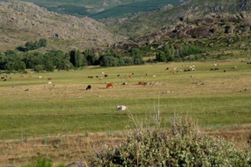 Casa Rural Fuente T�a Canora