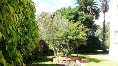 La Chimenea Verde