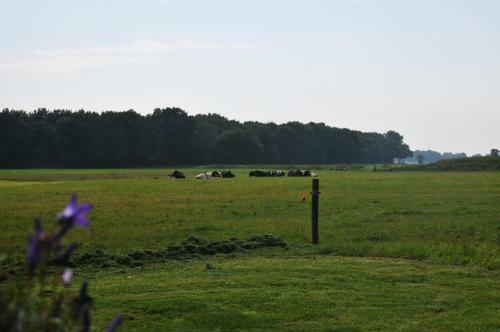 Bed & Breakfast Erve 't Hacht