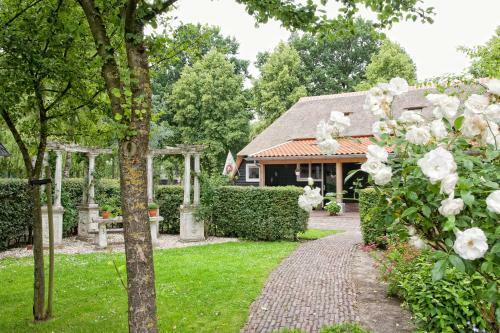 Bed & Breakfast Rheezerstee