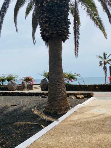 Apartamento Lc Bastian Marina Bungalow