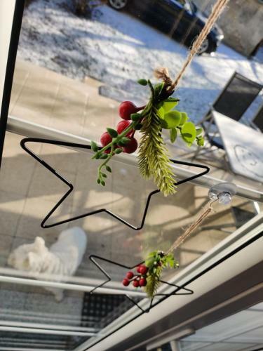 Apartament Lea W Kudowie Zdr�j