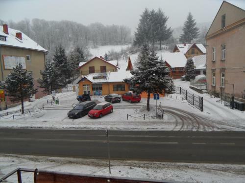 Apartament Kraszewskiego