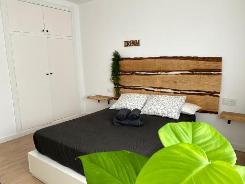 Apartamento Secona Domus Naturalis