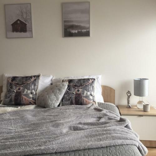 Apartament Pi?kne Miejsca - Ko?cielisko