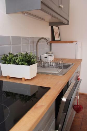 Apartamento Zakopanerent