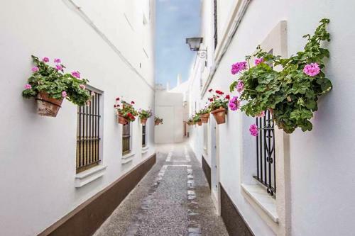 Apartamento Casa En Primera L�nea de Playa