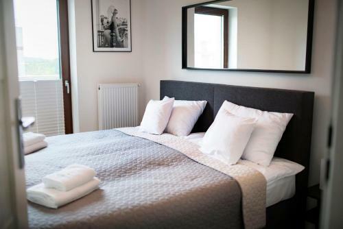 Apartamenty Na??czowskie Wzg�rze