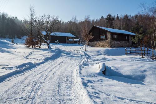 Siedlisko Zag�rze