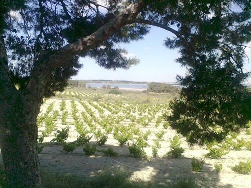 Apartamento Residencial Torrealmar Con Vistas