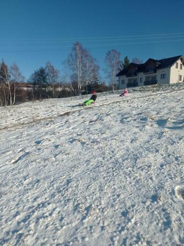 Apartamenty Bieszczadzki Horyzont
