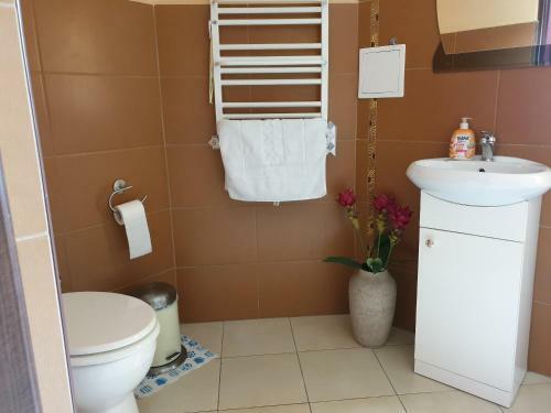 Hostal Pokoje Karkonosze