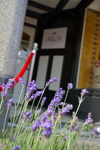 Bed & Breakfast Hotel Malts
