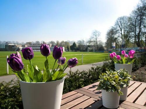 Apartamento Short Stay Cricket Mansion