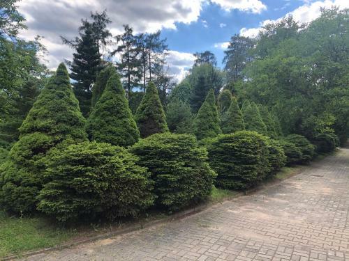 Hotel Zameczek
