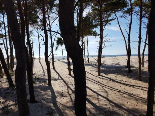 Blue Marine Apartament 19 Z Tarasem