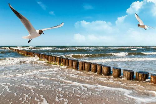 Holiday Homes, Rusinowo