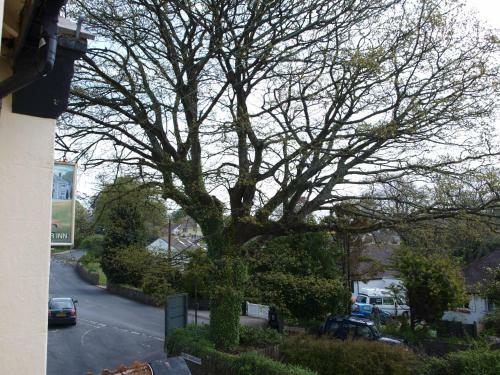 Bed & Breakfast Manor Inn Galmpton