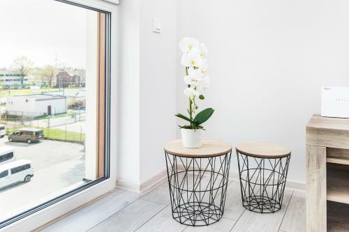Warta Residence Apartments By Renters