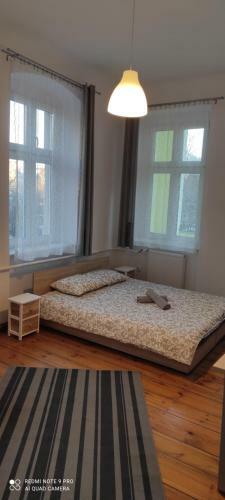 Lilia House Poznan
