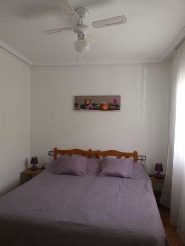 Rent An Apartment In Torrevieja