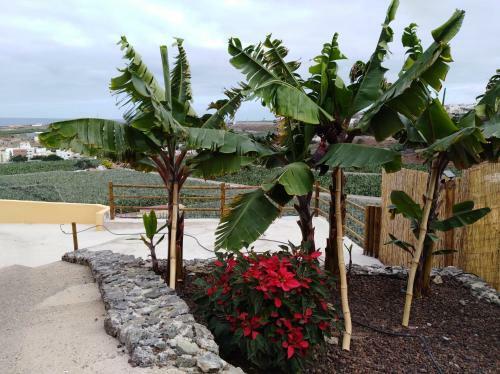 Apartamento Costa Verde - Nature Views Terrace - Parking