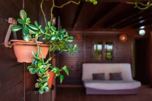 Apartamento Casa Orymar