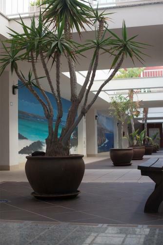 Apartamento Cotillo Sea Home