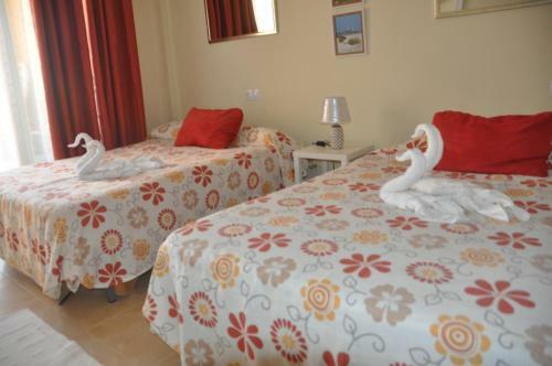 Apartamento Cotillosand