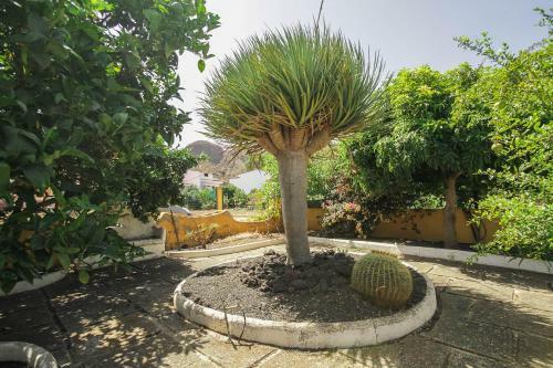 Villa Ojuelos