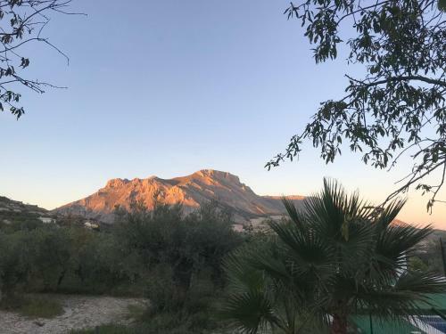 Hostal Cortijo �lamo 2