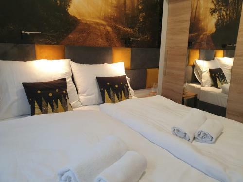 Apartament Zaczarowany Las - 5d Apartamenty