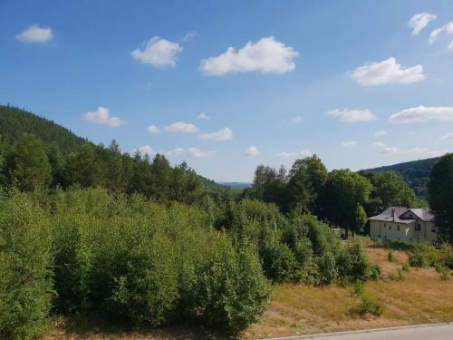 Apartament Zaczarowany Las - 5d Apartamenty