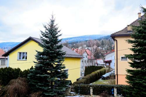 Ski Villa ?wierad�w