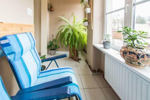 Apartamenty Izerskie - Ul. Wczasowa 8