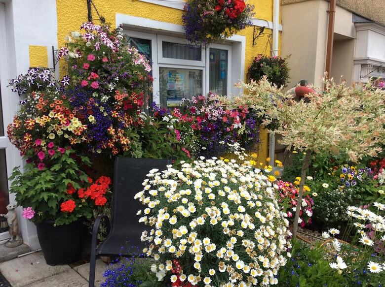 Bed & Breakfast Globe Guest House