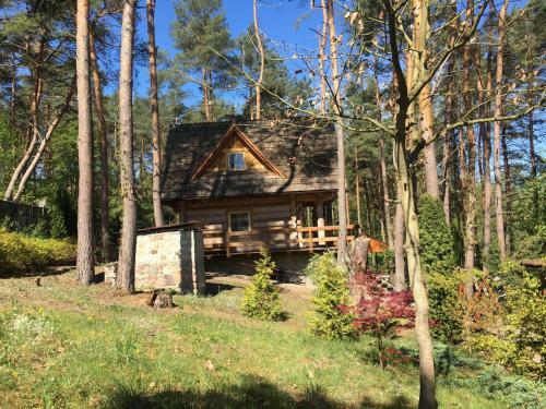 Lodge Domek Z Bali Tryszczyn Nad Brd?