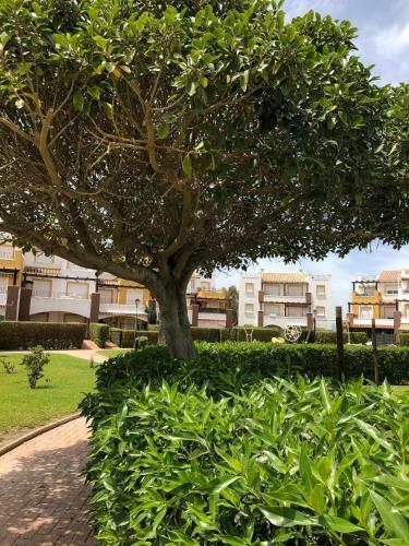 Apartamento El Mirador de Vera Playa