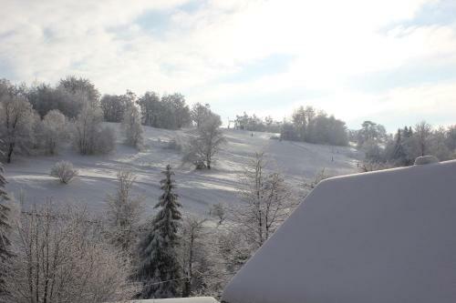 Bed & Breakfast Hillton Jawornik