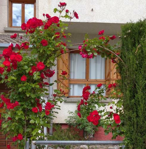Apartamento Villa Cocolo