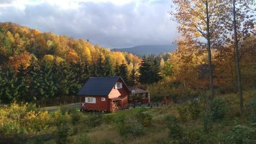 Gajowe Zacisze U Gryfiego