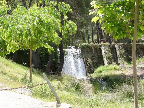 La Encina B