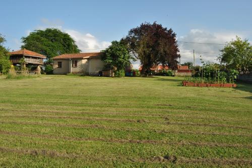 Casa Tala