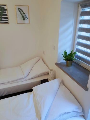 Apartamenty Metro Targ�wek