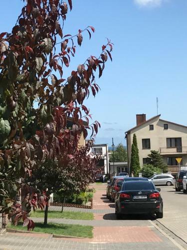 Apartament Korab W?adys?awowo-cetniewo