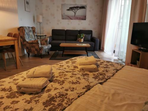 Apartamenty Zofia